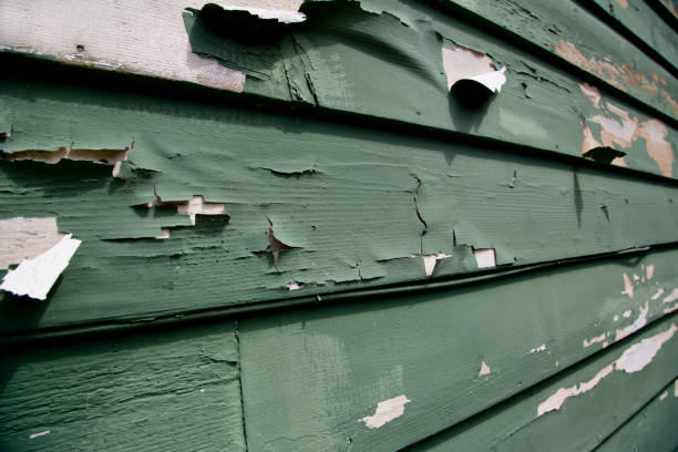 Same-Day Junk Removal Services in Tooele, UT